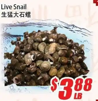 WinCo Food Mart Live snail offer
