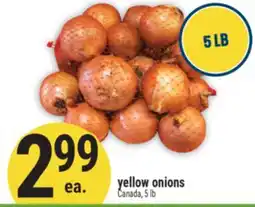 Marché Adonis Yellow onions offer