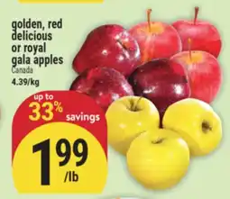 Marché Adonis Golden, red delicious or royal gala apples offer