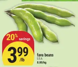 Marché Adonis Fava beans offer