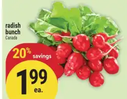 Marché Adonis Radish bunch offer