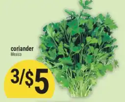 Marché Adonis Coriander offer