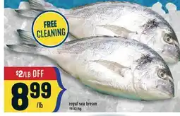 Marché Adonis Royal sea bream offer