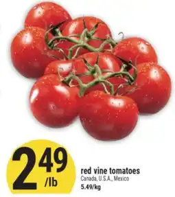 Marché Adonis Red vine tomatoes offer