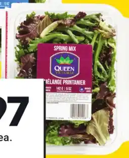 Giant Tiger 5 oz Spring mix offer
