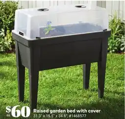 Giant Tiger Raised garden bed with cover offer
