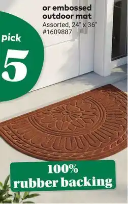 Giant Tiger embossed outdoor mat offer