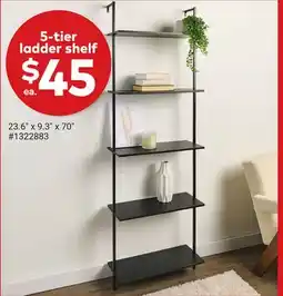 Giant Tiger 5-tier ladder shelf offer