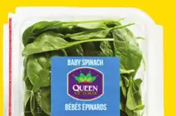 Giant Tiger 5 oz baby spinach offer