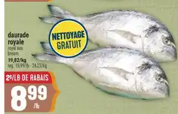 Marché Adonis Daurade royale | Royal sea bream offer