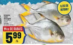 Marché Adonis POMPANO ENTIER DÉCONGELÉ | WHOLE DEFROSTED POMPANO offer