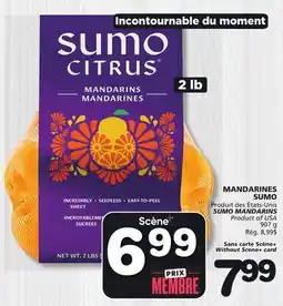Marches Tradition SUMO MANDARINS offer