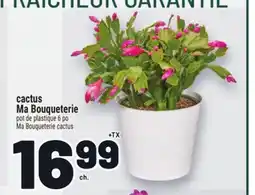 Metro CACTUS MA BOUQUETERIE | MA BOUQUETERIE CACTUS offer