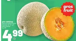 Metro GROS CANTALOUP | JUMBO CANTALOUPE offer