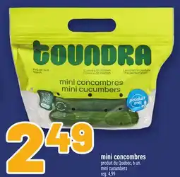 Metro MINI CONCOMBRES | MINI CUCUMBERS offer