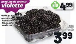 Metro MÛRES | BLACKBERRIES offer