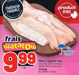Metro FILETS D'AIGLEFIN FRAIS | HADDOCK FILLETS, ECONOMIC PACK offer
