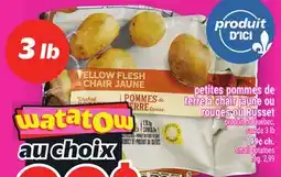 Metro PETITES POMMES DE TERRE À CHAIR JAUNE OU ROUGES OU RUSSET | SMALL POTATOES SMALL POTATOES offer