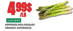 Marches Tau ASPERGES BIOLOGIQUES offer