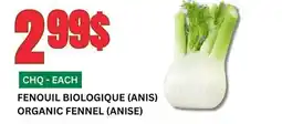 Marches Tau FENOUIL BIOLOGIQUE (ANIS) offer