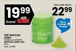Rachelle-Bery Grocery CAMELLIA SINENSIS MATCHA SORA TEA offer