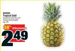 Super C ananas TropicalGold | TropicalGold pineapple offer