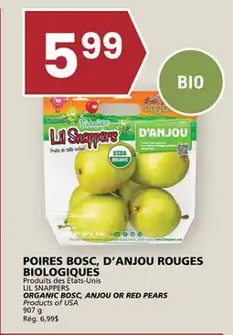 Rachelle-Bery Grocery SNAPPERS ORGANIC BOSC, ANJOU OR RED PEARS offer