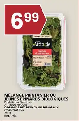 Rachelle-Bery Grocery ORGANIC BABY SPINACH OR SPRING MIX offer