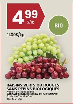 Rachelle-Bery Grocery ORGANIC SEEDLESS GREEN OR RED GRAPES offer