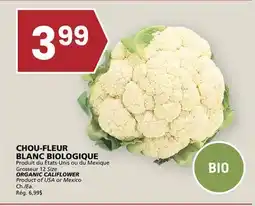 Rachelle-Bery Grocery ORGANIC CALIFLOWER offer