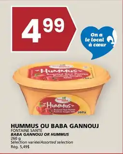Rachelle-Bery Grocery FONTAINE SANTÉ BABA GANNOUJ OR HUMMUS offer