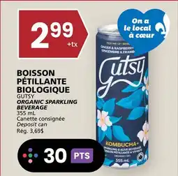 Rachelle-Bery Grocery GUTSY ORGANIC SPARKLING BEVERAGE offer