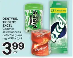 Brunet DENTYNE, TRIDENT, EXCEL Gommes sélectionnées offer