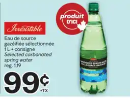 Brunet IRRESISTIBLES Eau de source gazéifiée sélectionnée offer