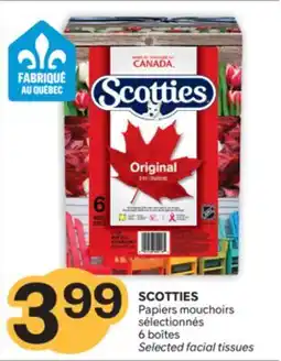 Brunet SCOTTIES Papiers mouchoirs sélectionnés offer