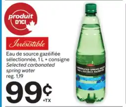 Brunet IRRESISTIBLE Eau de source gazéifiée sélectionnée offer