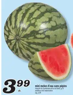 Marché Richelieu Mini melon d'eau sans pépins | seedless mini watermelon offer