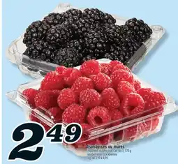 Marché Richelieu FRAMBOISES OU MÛRES | RASPBERRIES OR BLACKBERRIES offer