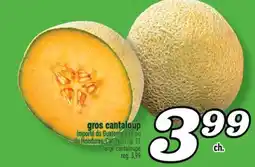 Marché Richelieu GROS CANTALOUP | LARGE CANTALOUPE offer