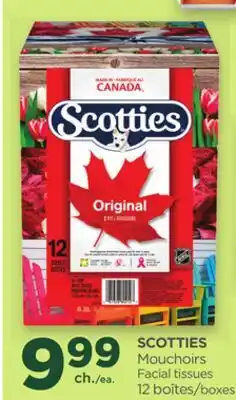 Proxim SCOTTIES Facial tissues offer