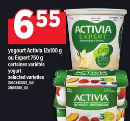 Maxi YOGOURT ACTIVIA, 12X100 G OU EXPERT, 750 G | YOGURT offer