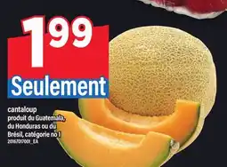 Maxi CANTALOUP offer