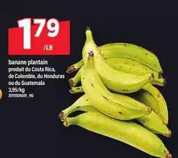 Maxi BANANE PLANTAIN offer