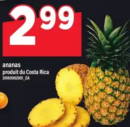 Maxi ANANAS offer