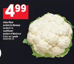 Maxi CHOU-FLEUR | CAULIFLOWER offer