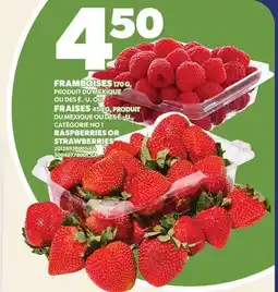 Provigo FRAMBOISES 170 G, FRAISES, 454 G offer