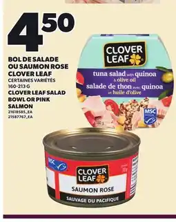 Provigo CLOVER LEAF SALAD BOWL OR PINK SALMON offer