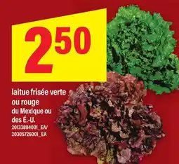 Maxi LAITUE FRISÉE VERTE OU ROUGE DU MEXIQUE OU DES É.-U offer