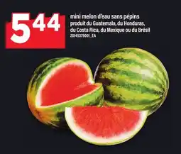 Maxi MINI MELON D'EAU SANS PÉPINS offer