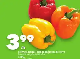 Marche Ami Poivrons rouges, orange ou jaunes de serre offer
